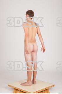 Body texture of Aurel 0021